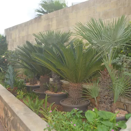 Lyss 2 Mellieħa